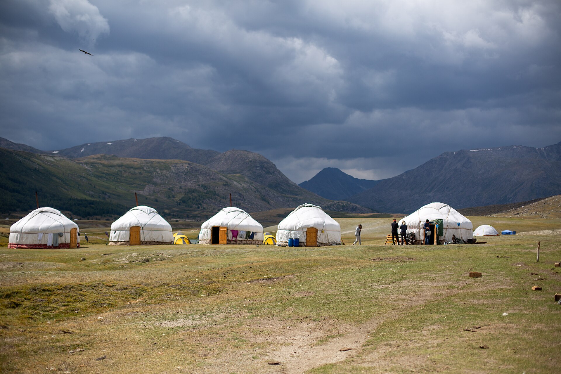 Several white traditional gers stand on open grassland beneath mountains in Western Mongolia
